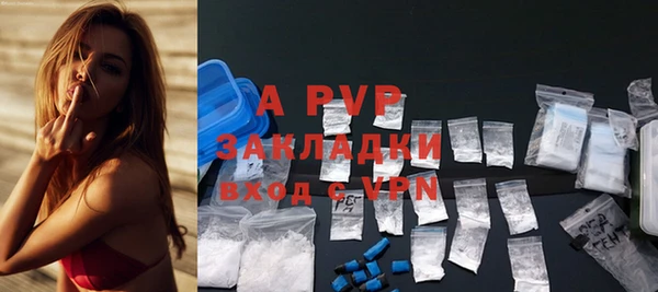 эйфоретик Белокуриха