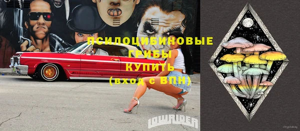 эйфоретик Белокуриха
